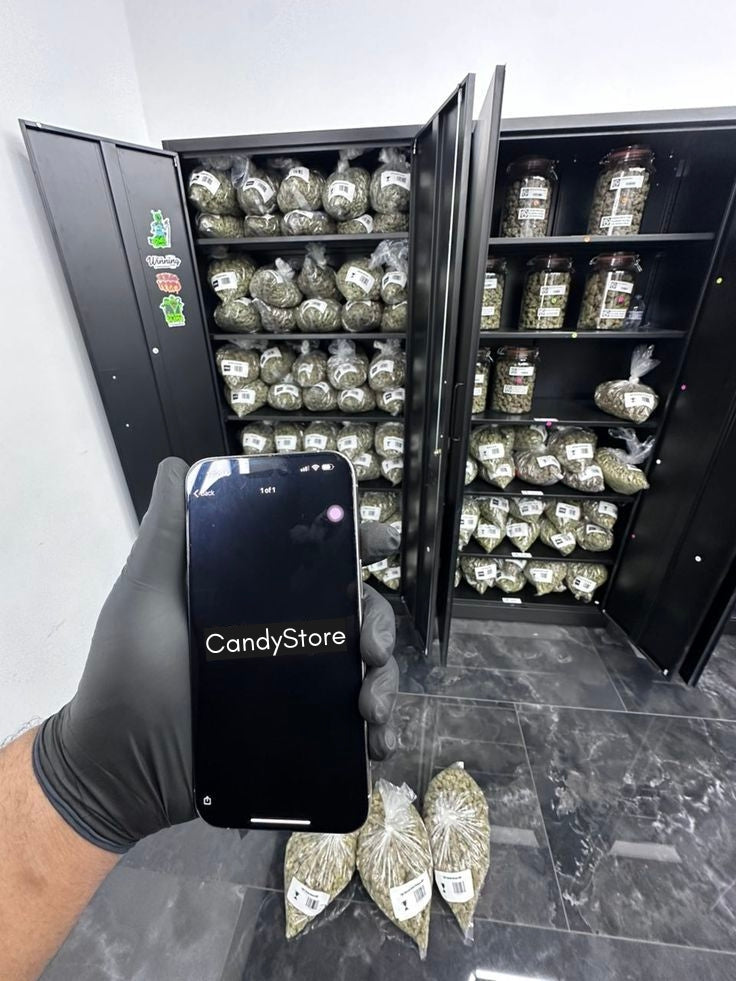 Purple Haze [Nuevo ingreso]